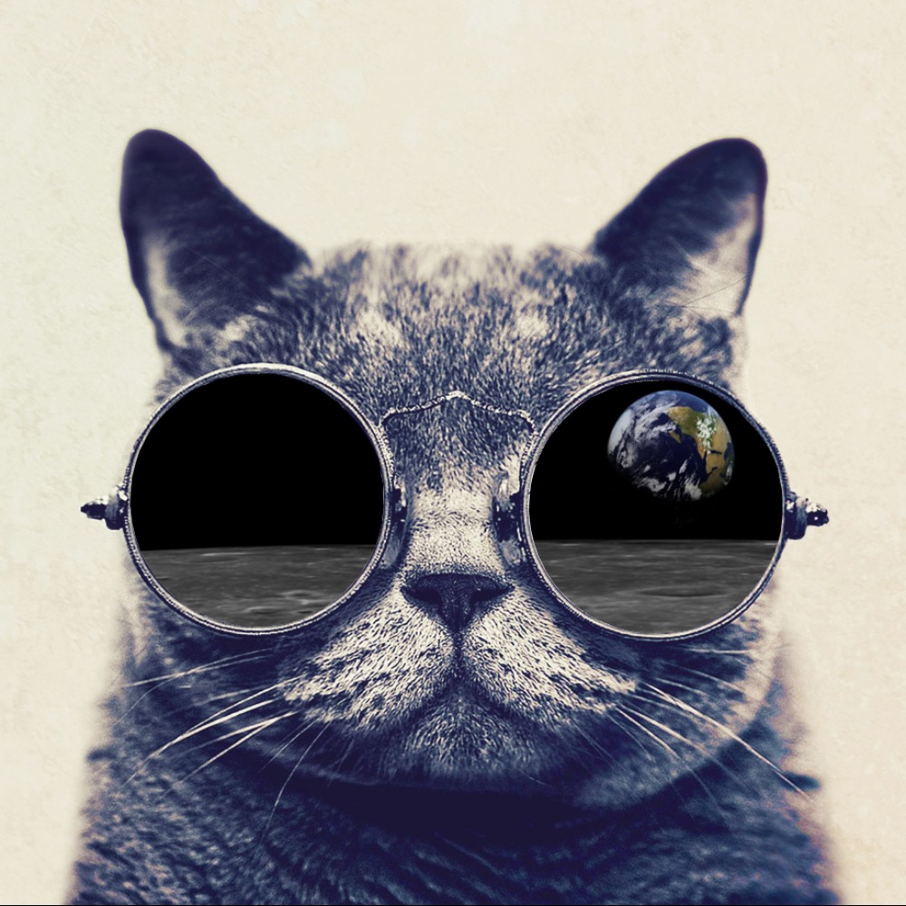 Meet your Posher, Lesley